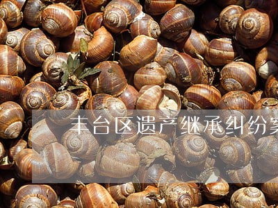 丰台区遗产继承纠纷案律师 丰台区遗产继承纠纷案律师