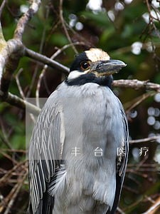 丰台医疗事故赔偿律师排名 丰台医疗事故赔偿律师排名