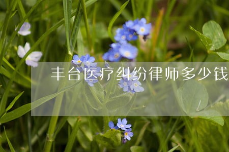 丰台医疗纠纷律师多少钱 丰台医疗纠纷律师多少钱