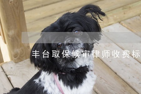 丰台取保候审律师收费标准 丰台取保候审律师收费标准