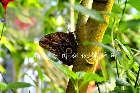 丰台合同纠纷律师所 丰台合同纠纷律师所