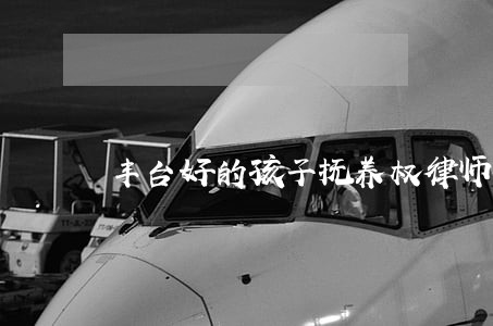 丰台好的孩子抚养权律师价位 丰台好的孩子抚养权律师价位