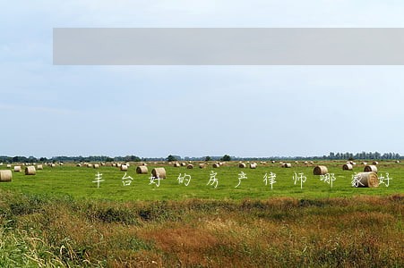 丰台好的房产律师哪家好 丰台好的房产律师哪家好