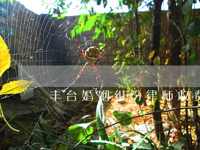 丰台婚姻纠纷律师收费 丰台婚姻纠纷律师收费
