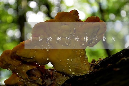 丰台婚姻纠纷律师费用 丰台婚姻纠纷律师费用