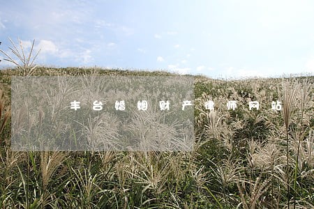 丰台婚姻财产律师网站 丰台婚姻财产律师网站