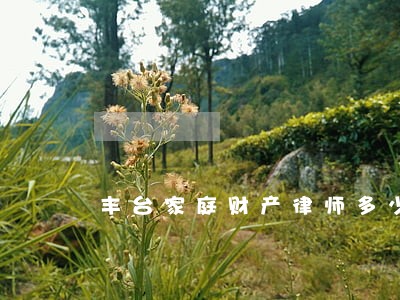 丰台家庭财产律师多少钱 丰台家庭财产律师多少钱
