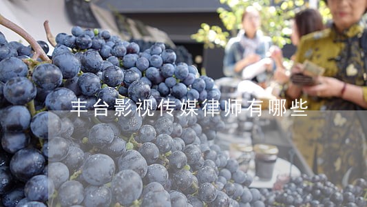 丰台影视传媒律师有哪些 丰台影视传媒律师有哪些