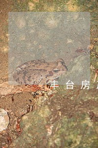 丰台房产合同律师地址 丰台房产合同律师地址