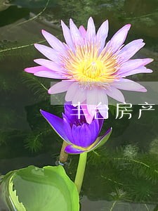丰台房产律师事务所排名 丰台房产律师事务所排名