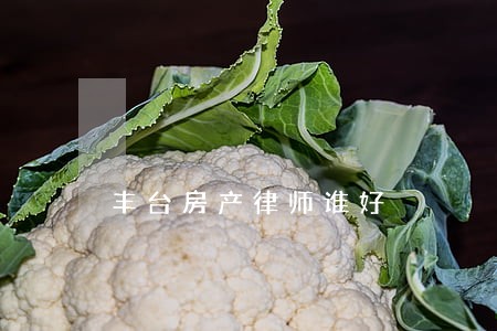 丰台房产律师谁好 丰台房产律师谁好