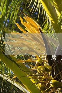 丰台房产纠纷律师 丰台房产纠纷律师