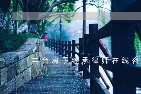 丰台房子继承律师在线咨询 丰台房子继承律师在线咨询
