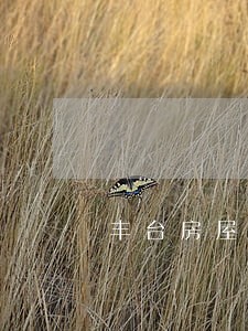 丰台房屋租赁合同律师咨询 丰台房屋租赁合同律师咨询