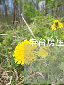 丰台房屋装修合同律师哪里找 丰台房屋装修合同律师哪里找