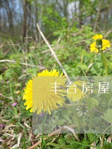 丰台房屋装修纠纷律师电话咨询 丰台房屋装修纠纷律师电话咨询