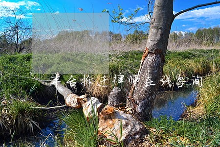 丰台拆迁律师在线咨询 丰台拆迁律师在线咨询