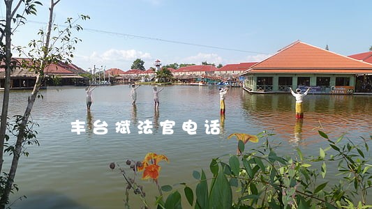 丰台斌法官电话