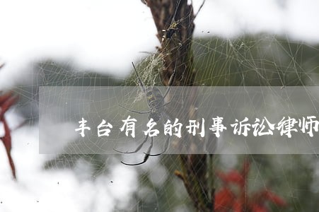 丰台有名的刑事诉讼律师咨询 丰台有名的刑事诉讼律师咨询
