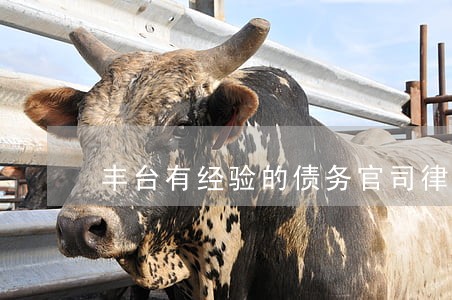 丰台有经验的债务官司律师延庆 丰台有经验的债务官司律师延庆