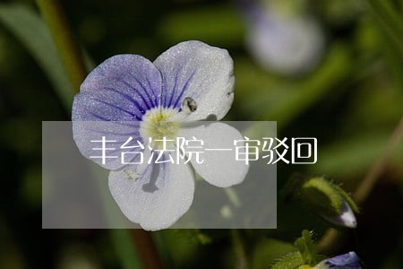 丰台法院一审驳回