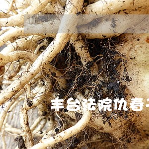 丰台法院仇春子 丰台法院仇春子