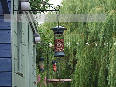丰台法院保全在执行几庭 丰台法院保全在执行几庭