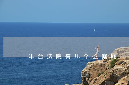 丰台法院有几个立案庭 丰台法院有几个立案庭