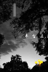 丰台法院王芳 丰台法院王芳