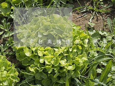 丰台离婚债务律师事务所北京 丰台离婚债务律师事务所北京