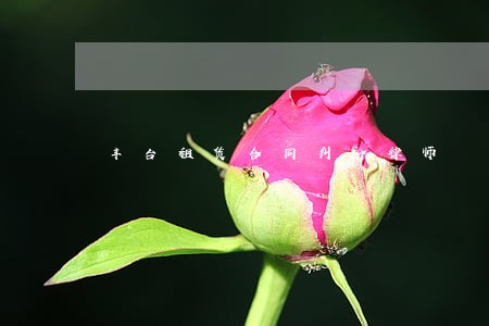 丰台租赁合同纠纷律师 丰台租赁合同纠纷律师
