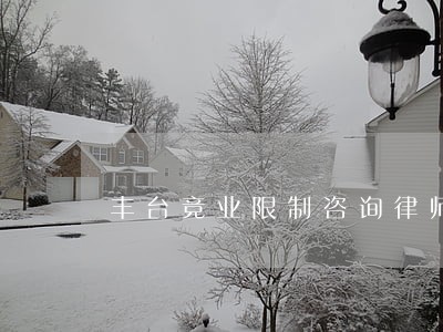 丰台竞业限制咨询律师 丰台竞业限制咨询律师