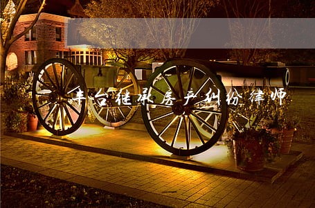 丰台继承房产纠纷律师 丰台继承房产纠纷律师