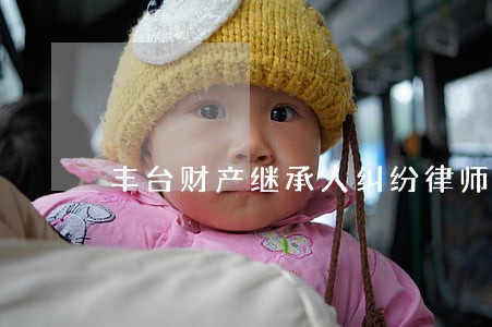 丰台财产继承人纠纷律师有哪些