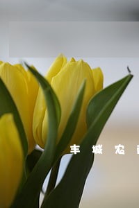 丰城农商行信用卡逾期名单 丰城农商行信用卡逾期名单