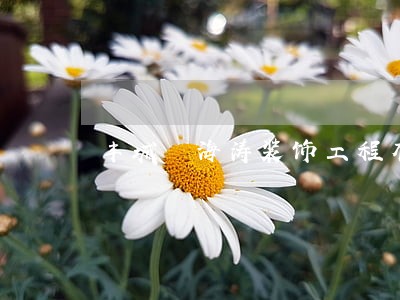 丰城巿海涛装饰工程有限公司法人 丰城巿海涛装饰工程有限公司法人