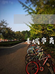 丰城市商标纠纷律师