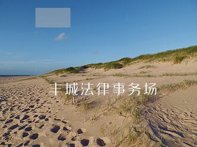 丰城法律事务场 丰城法律事务场