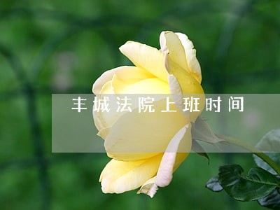 丰城法院上班时间 丰城法院上班时间