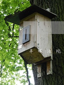 丰城法院甘立新简历 丰城法院甘立新简历