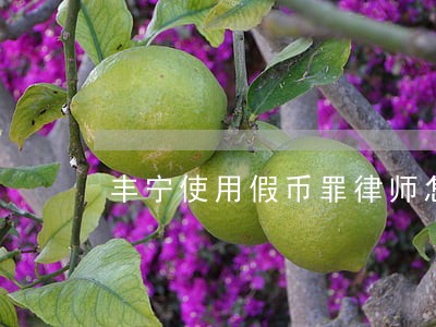 丰宁使用假币罪律师怎么收费 丰宁使用假币罪律师怎么收费