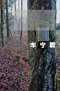 丰宁聘请婚姻离婚诉讼案件律师 丰宁聘请婚姻离婚诉讼案件律师