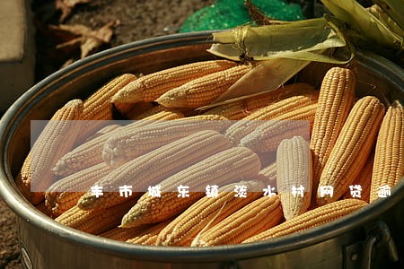 丰市城东镇淡水村网贷逾期