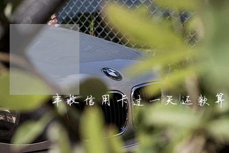 丰收信用卡过一天还款算逾期吗