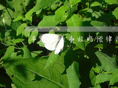 丰泽交通事故赔偿律师法律专线 丰泽交通事故赔偿律师法律专线