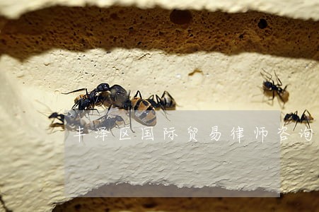 丰泽区国际贸易律师咨询电话 丰泽区国际贸易律师咨询电话