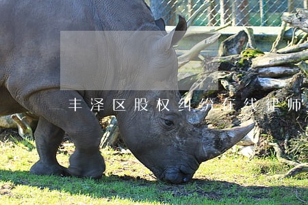 丰泽区股权纠纷在线律师咨询 丰泽区股权纠纷在线律师咨询