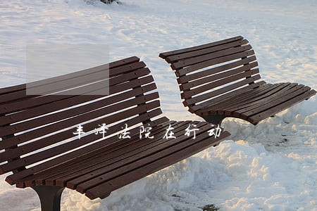 丰泽法院在行动 丰泽法院在行动