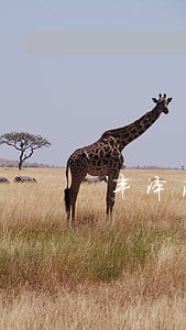 丰泽法院执行庭陈法官 丰泽法院执行庭陈法官