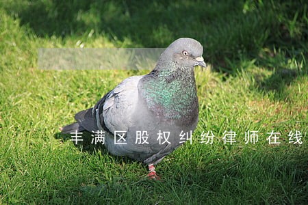 丰满区股权纠纷律师在线免费咨询 丰满区股权纠纷律师在线免费咨询